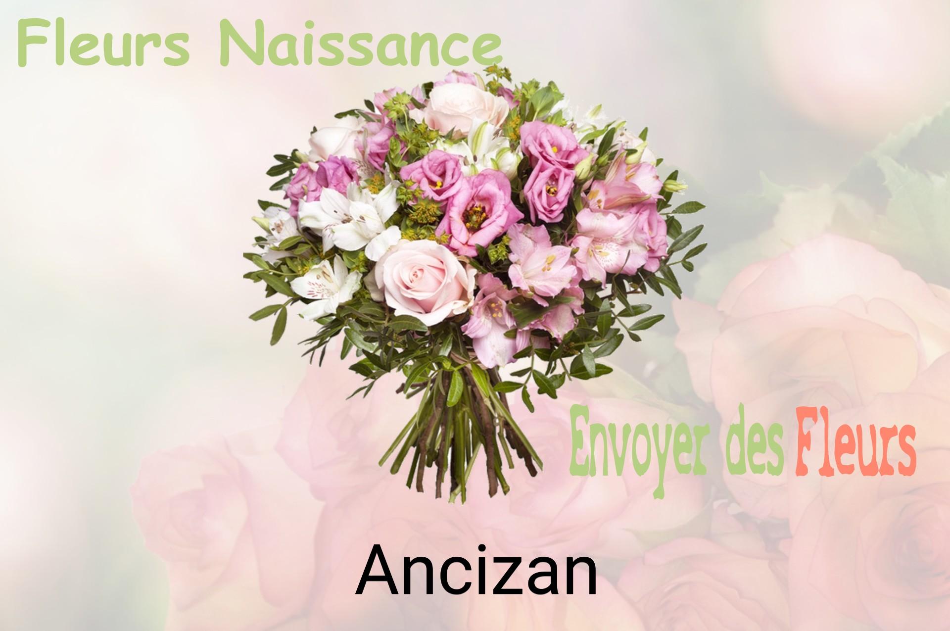 Bouquet de fleurs de naissance livré à Ancizan