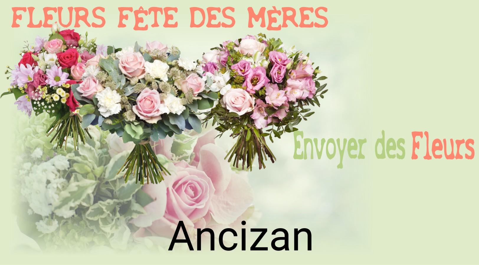 Bouquet de Fête des Mères livré à Ancizan